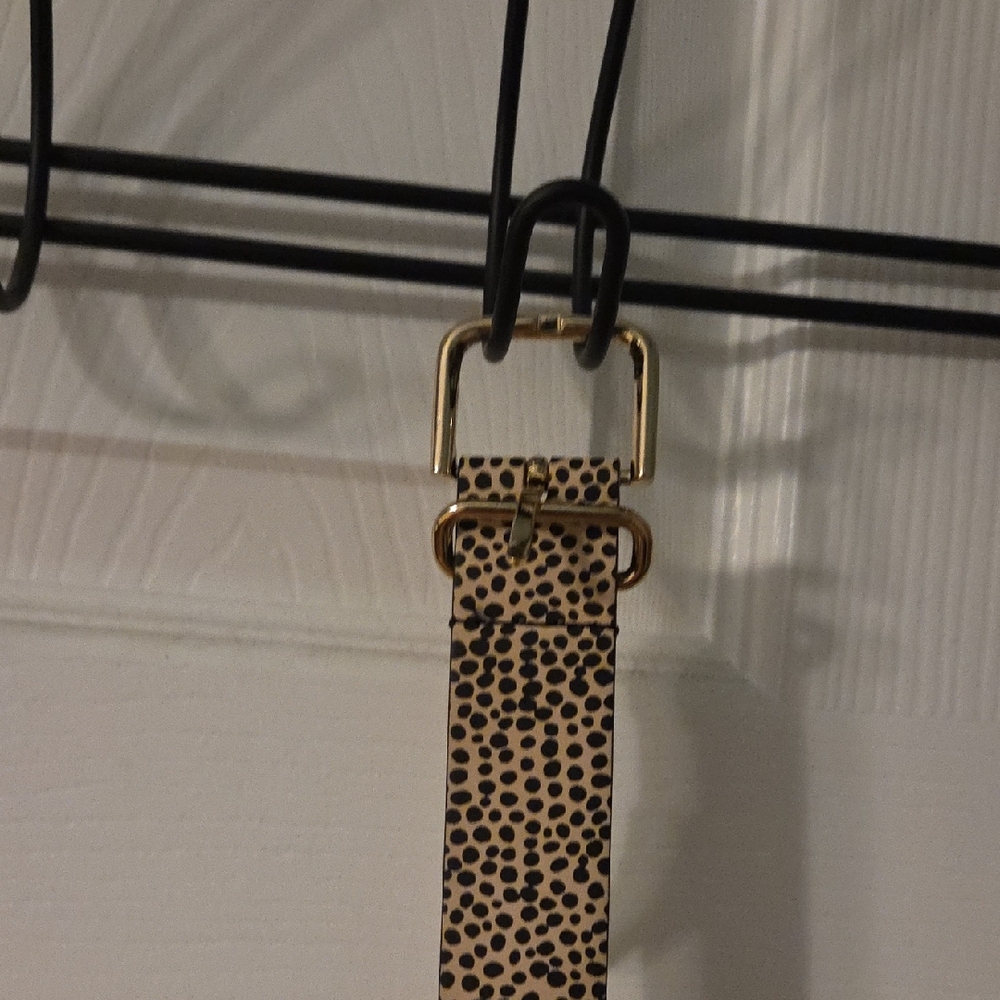 Express Spotted Belt with Gold Buckle